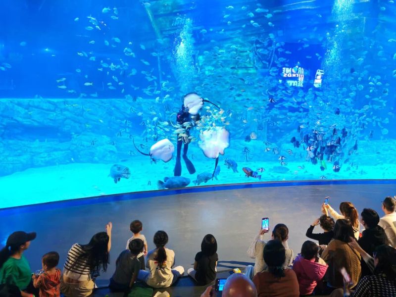Top Các Địa Điểm Vui Chơi Hà Nội Nổi Tiếng & Hấp Dẫn Nhất 2 Khu vui chơi trong nhà Lotte World Aquarium & VinKE Mega Mall