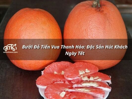 buoi do tien vua