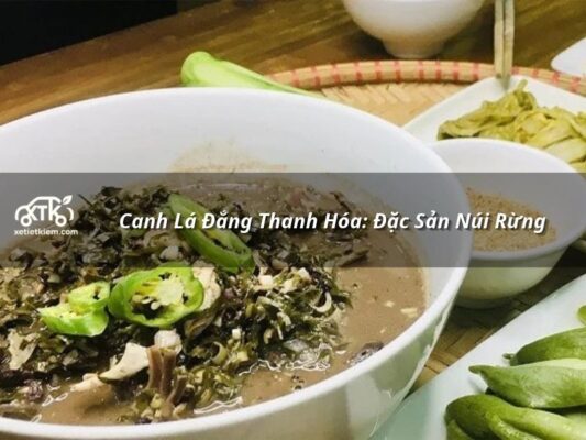 canh la dang thanh hoa